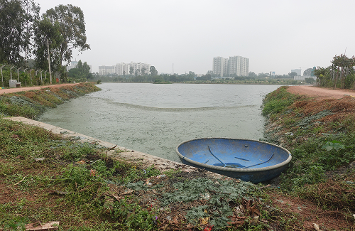 Bidare Agrahara Lake (After)