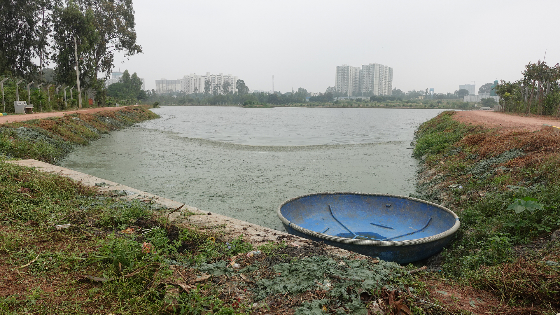COP29: A Global Call to Action and United Way of Bengaluru’s Local Impact