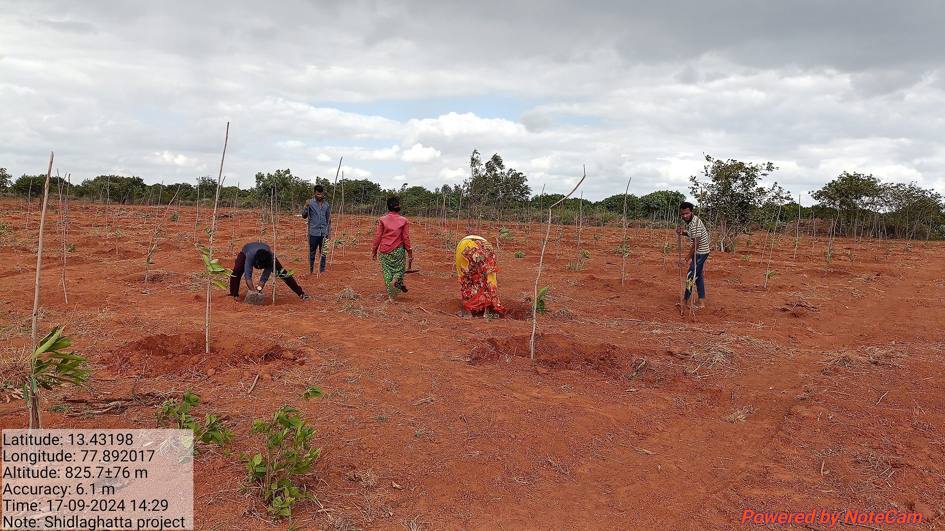We Strive For Sustainability – But What Does It Mean?