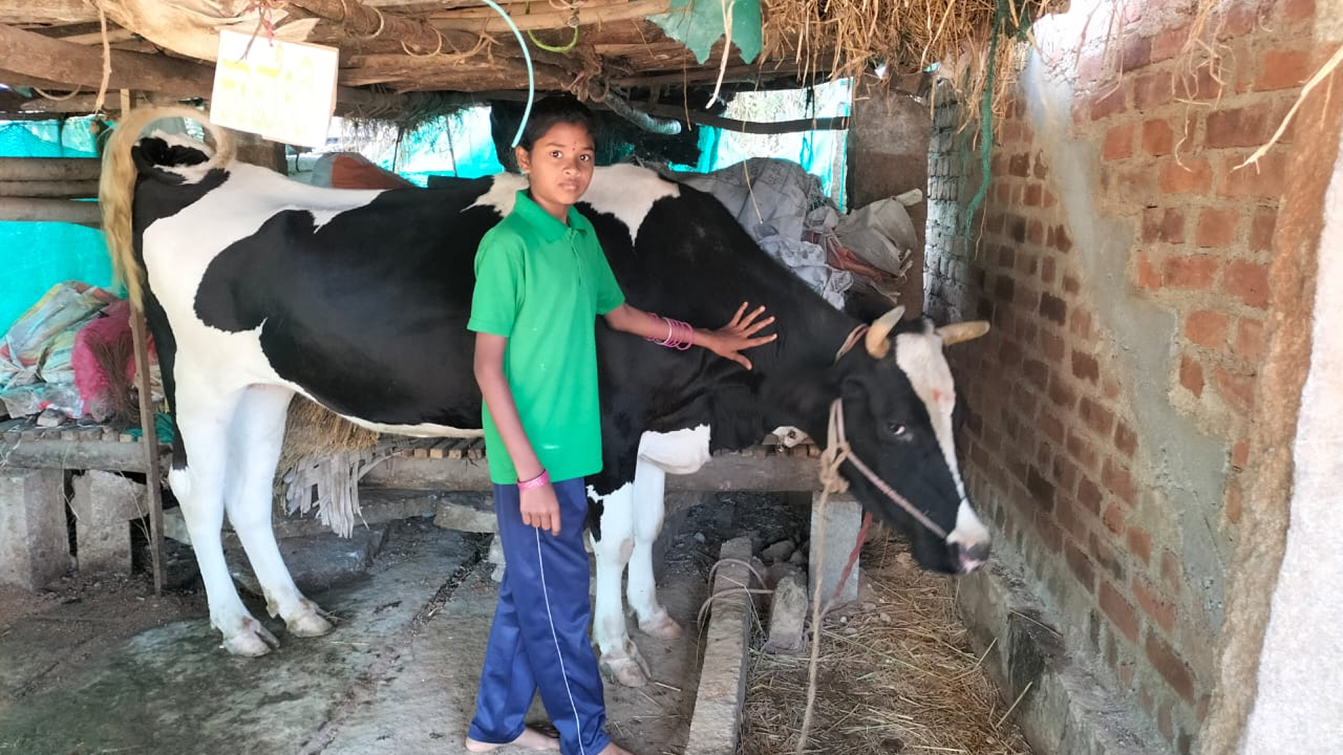 The Ripple Effect: How Livestock Support Drives Financial Stability