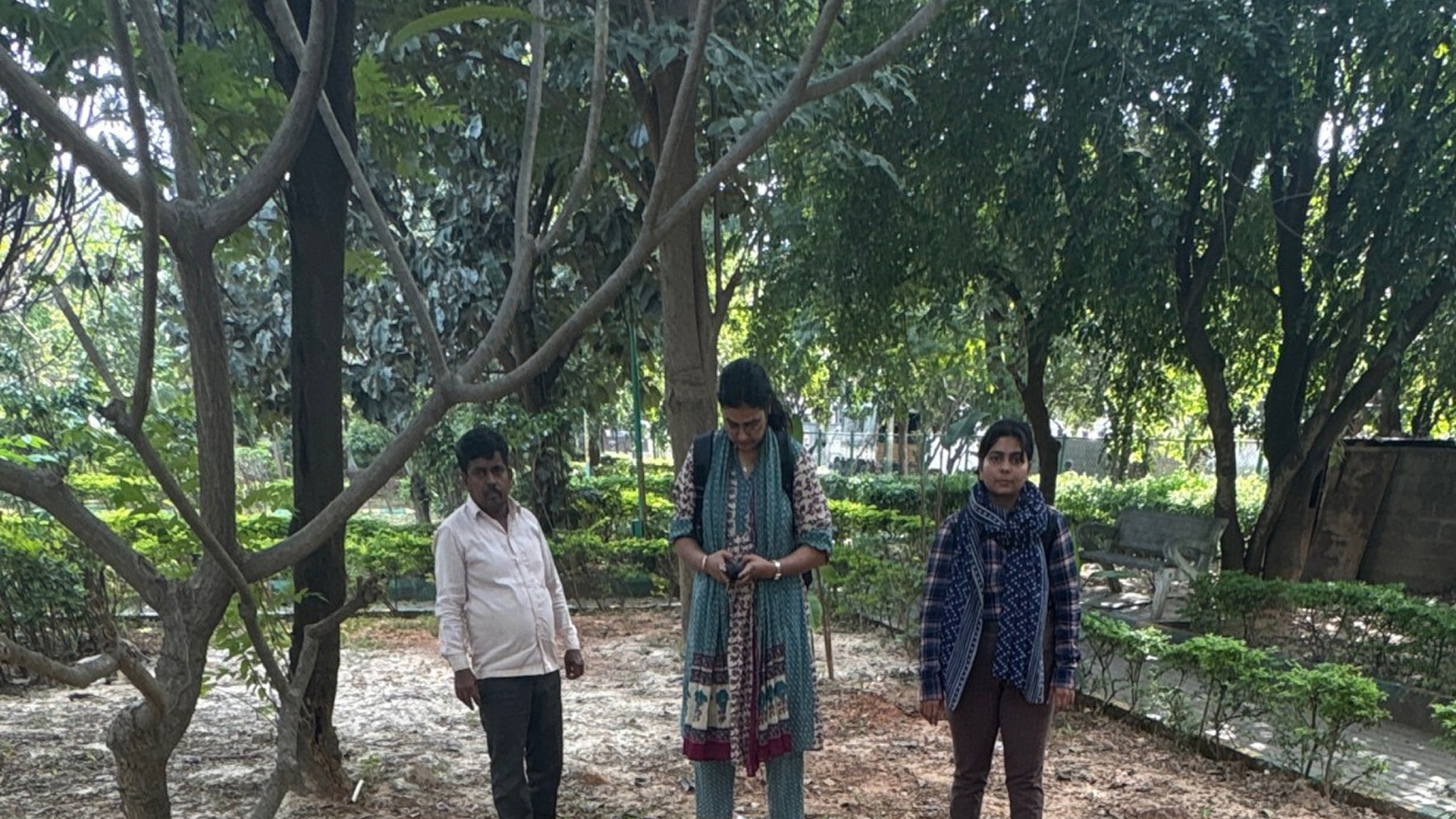 Field work and data collection for OBD