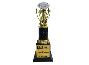 ICC Awards Mangroves Matter