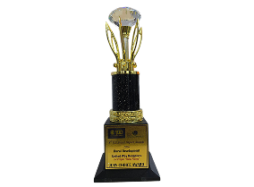 ICC Awards Rural Rising 2026