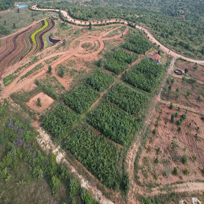 Biodiversity Initiatives